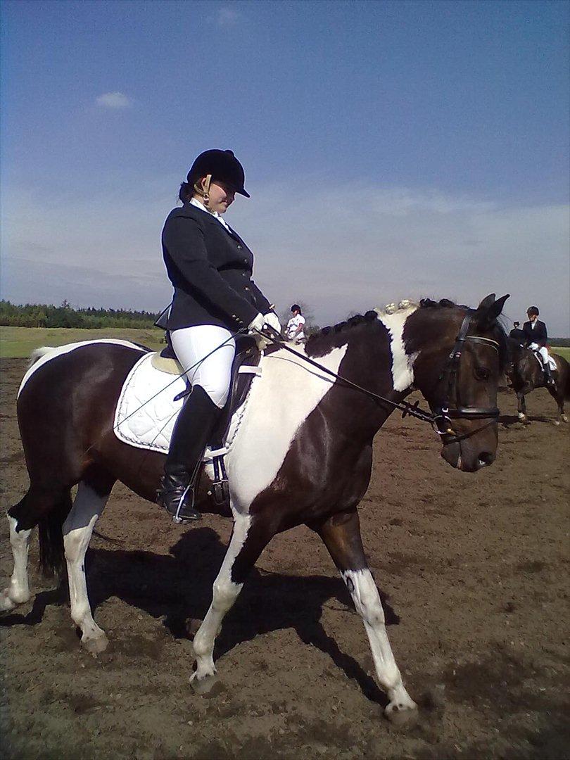 Distriktstævne på Billund sportsrideklub. billede 147