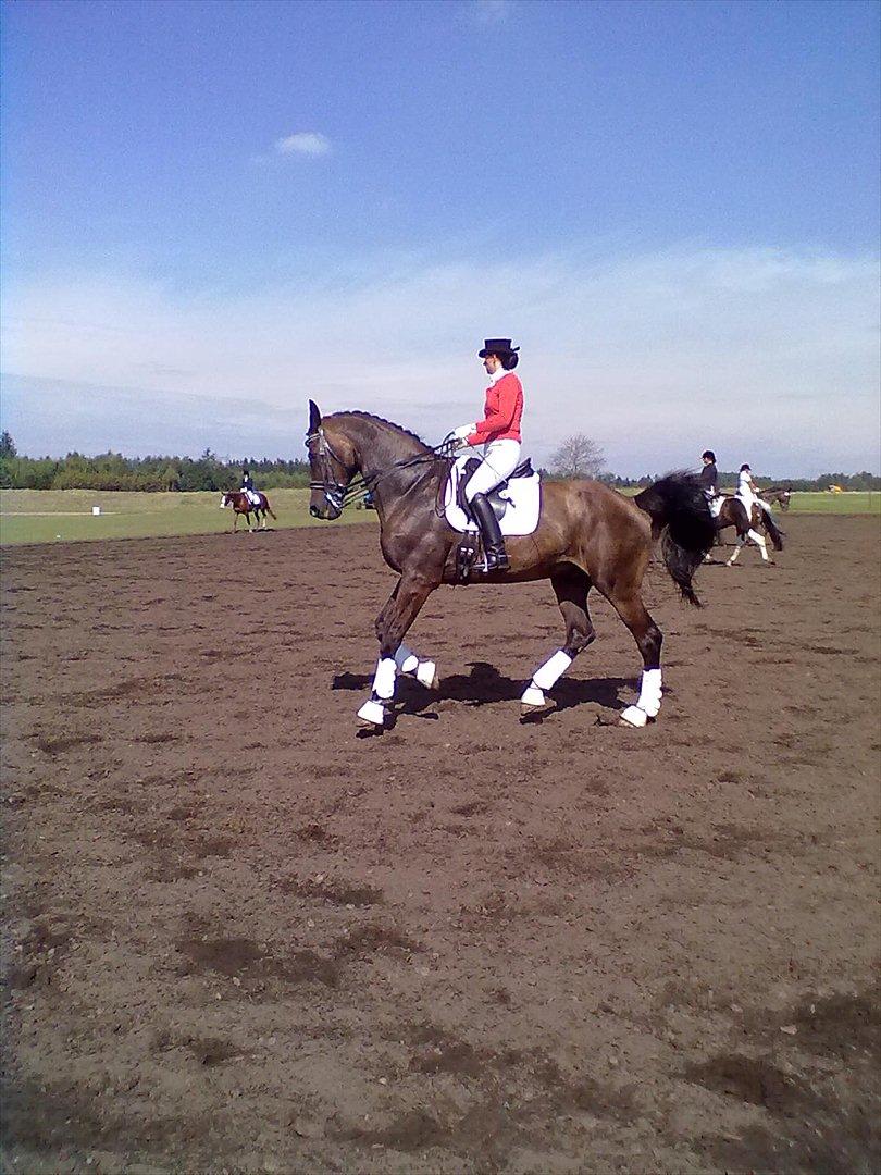 Distriktstævne på Billund sportsrideklub. billede 148