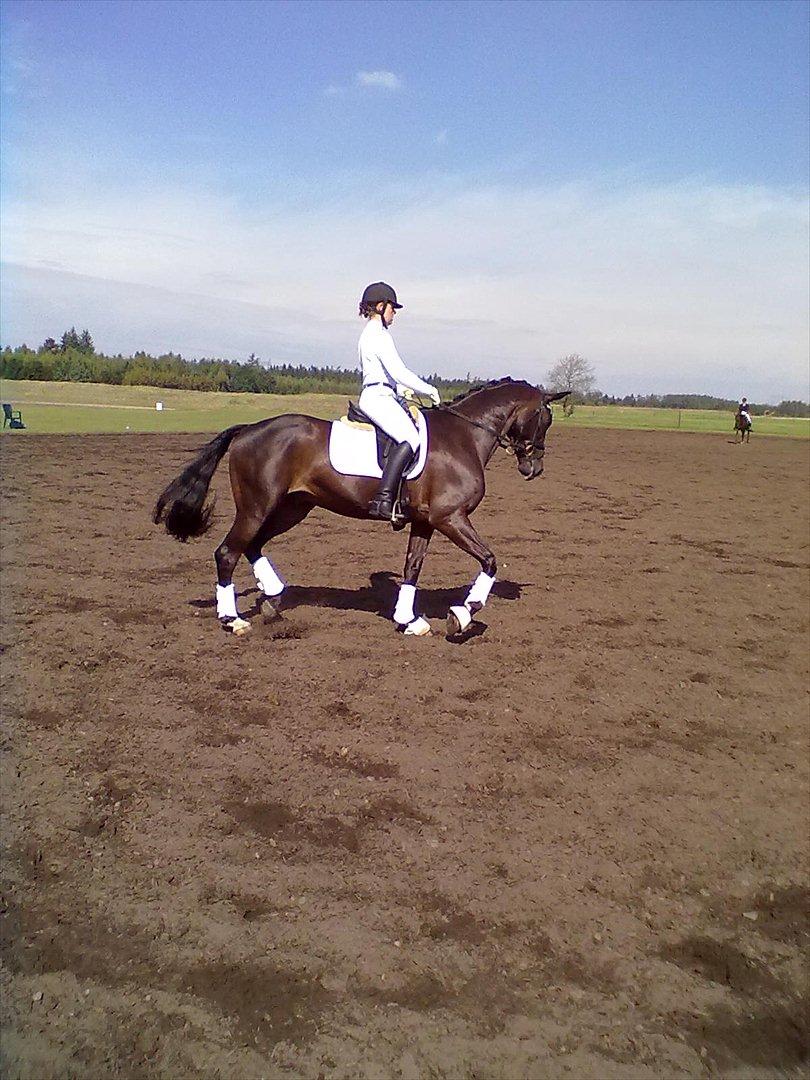 Distriktstævne på Billund sportsrideklub. billede 149