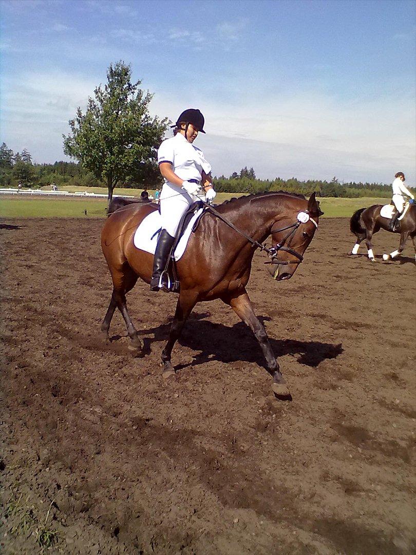 Distriktstævne på Billund sportsrideklub. billede 150