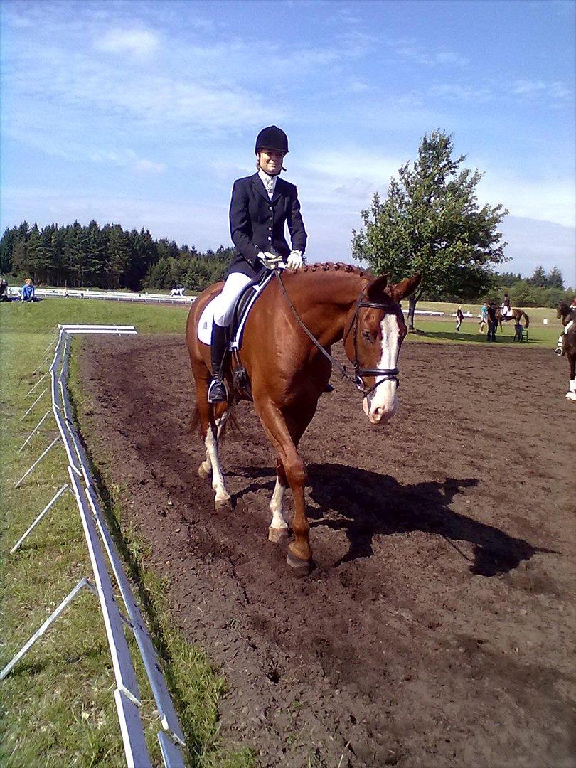 Distriktstævne på Billund sportsrideklub. billede 151