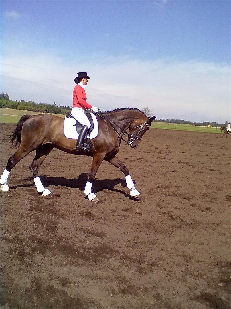 Distriktstævne på Billund sportsrideklub. billede 153