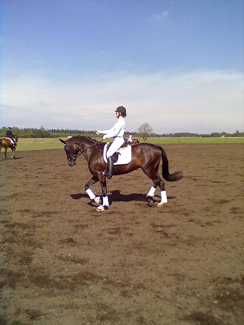 Distriktstævne på Billund sportsrideklub. billede 154