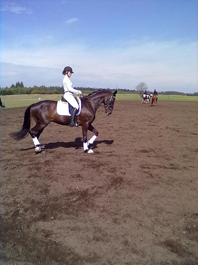 Distriktstævne på Billund sportsrideklub. billede 156