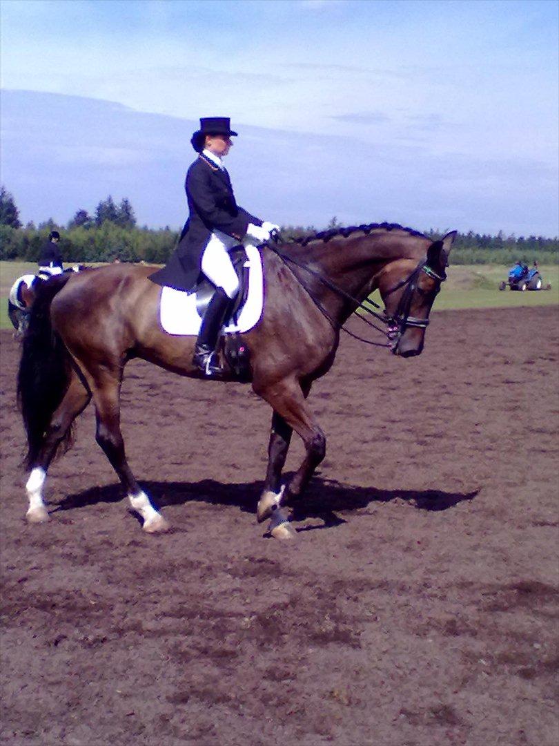 Distriktstævne på Billund sportsrideklub. billede 159