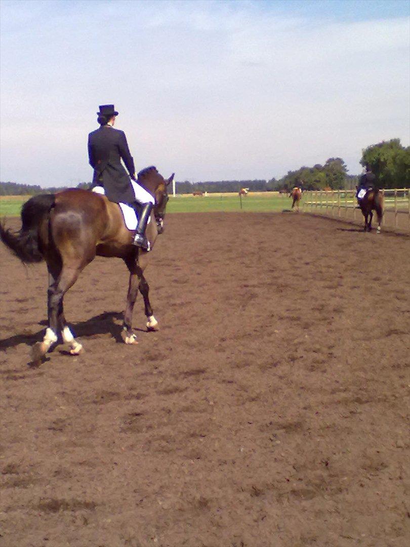 Distriktstævne på Billund sportsrideklub. billede 160