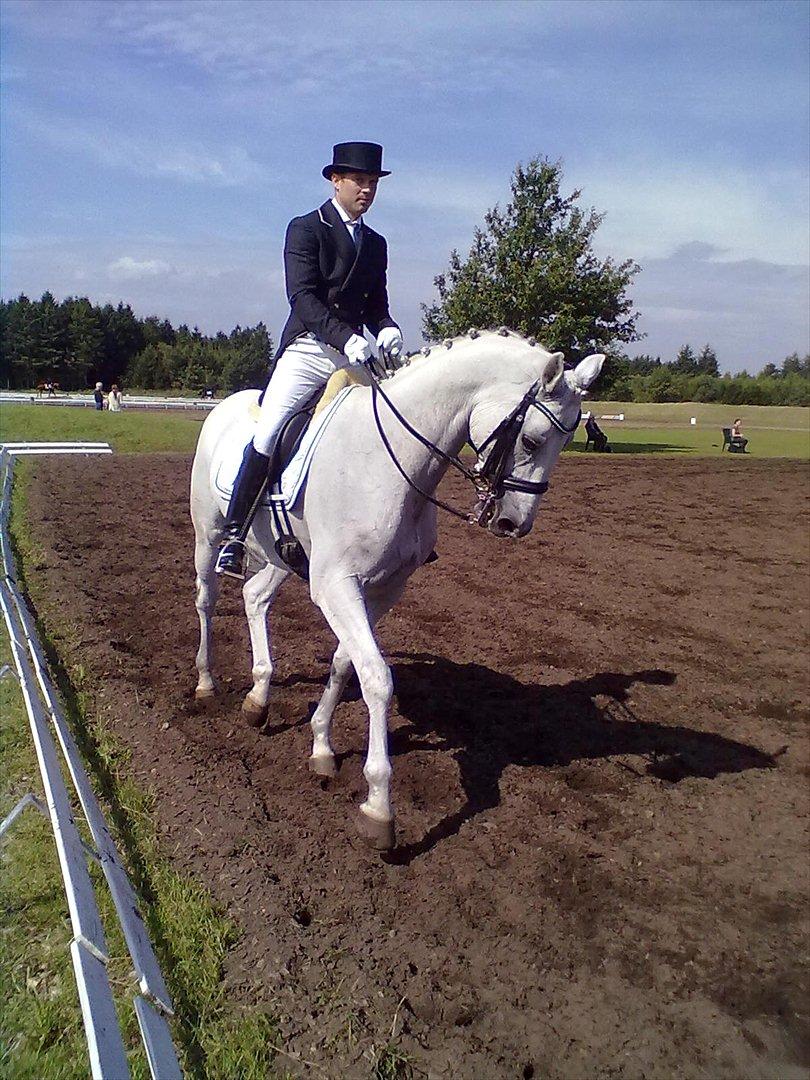 Distriktstævne på Billund sportsrideklub. billede 162