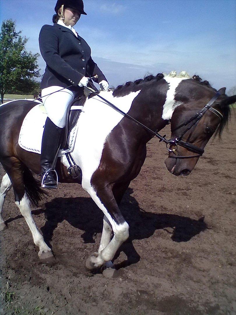 Distriktstævne på Billund sportsrideklub. billede 164