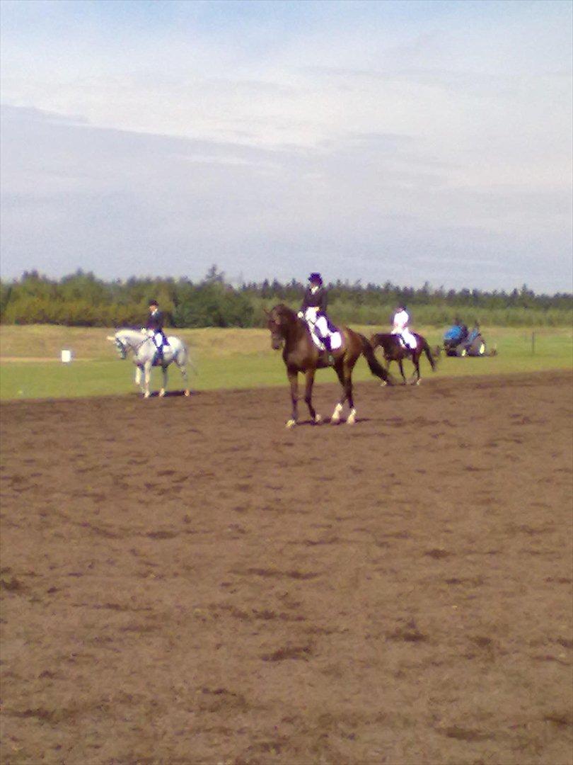 Distriktstævne på Billund sportsrideklub. billede 165