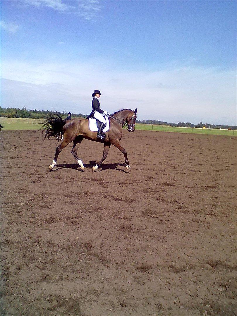 Distriktstævne på Billund sportsrideklub. billede 166