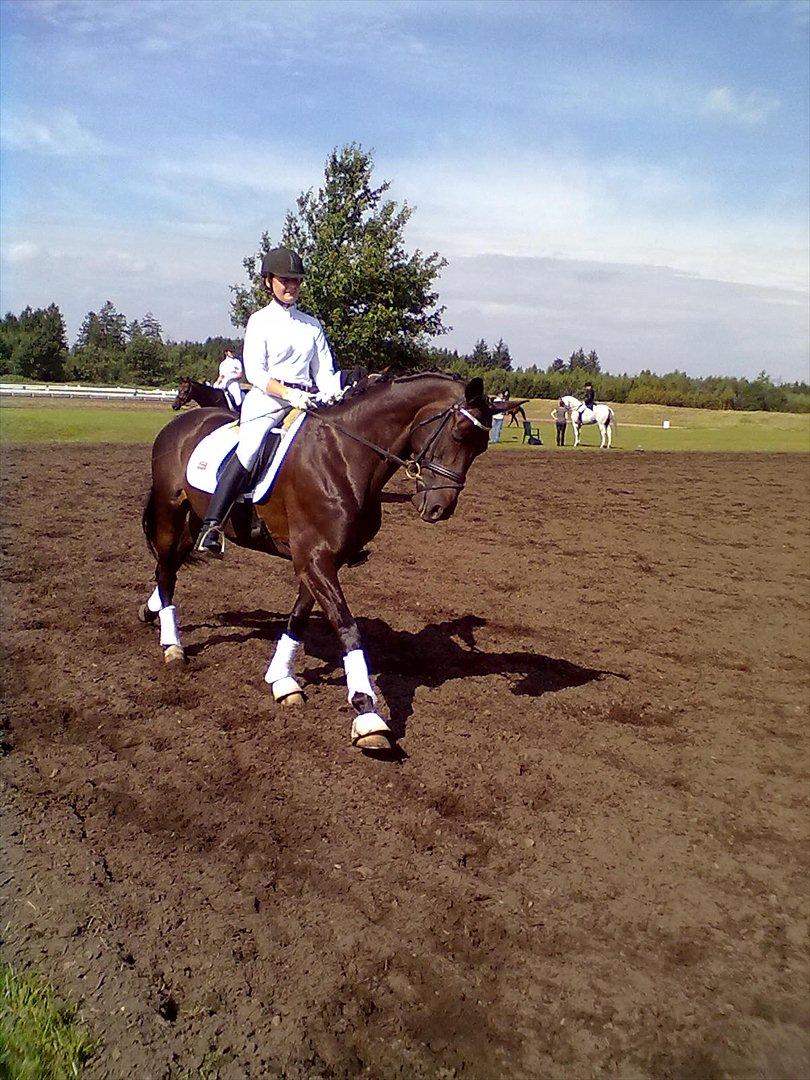 Distriktstævne på Billund sportsrideklub. billede 167