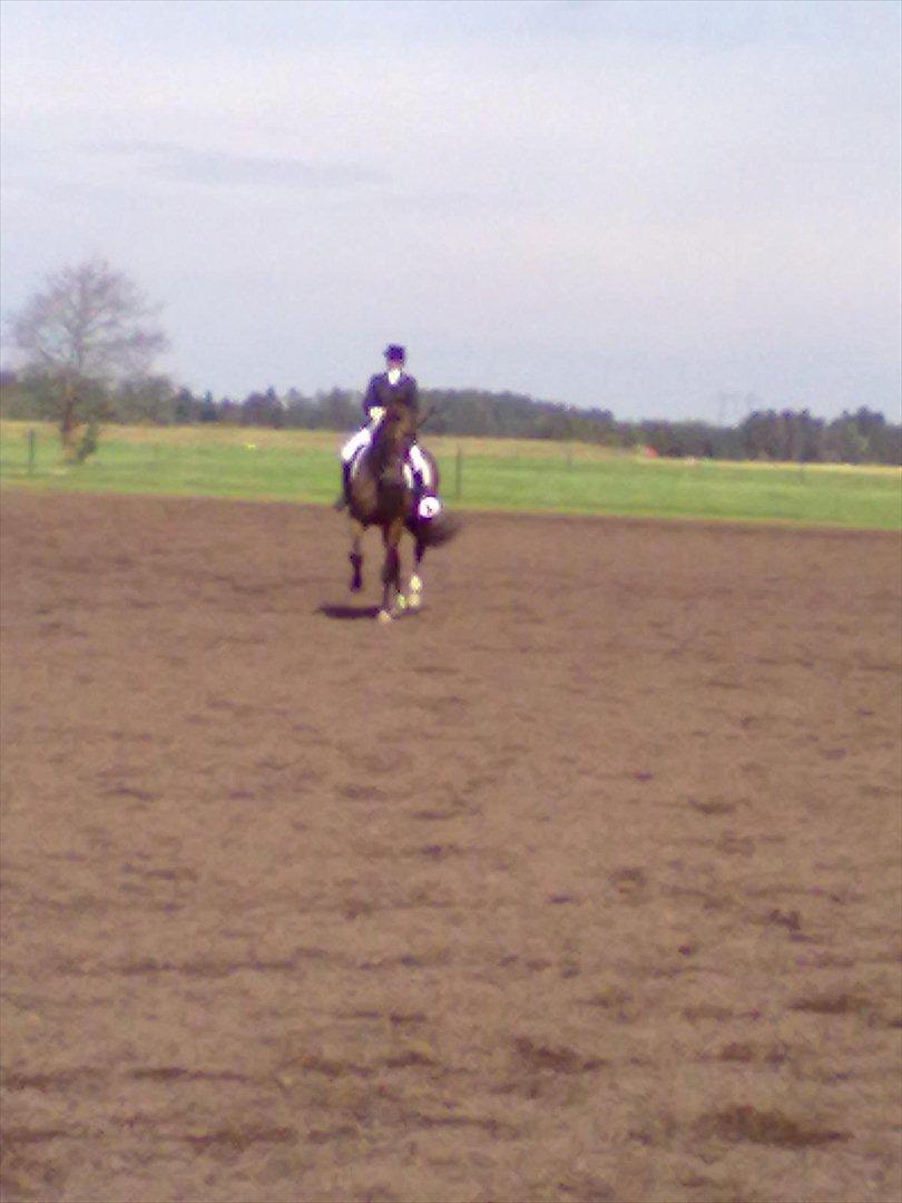 Distriktstævne på Billund sportsrideklub. billede 168