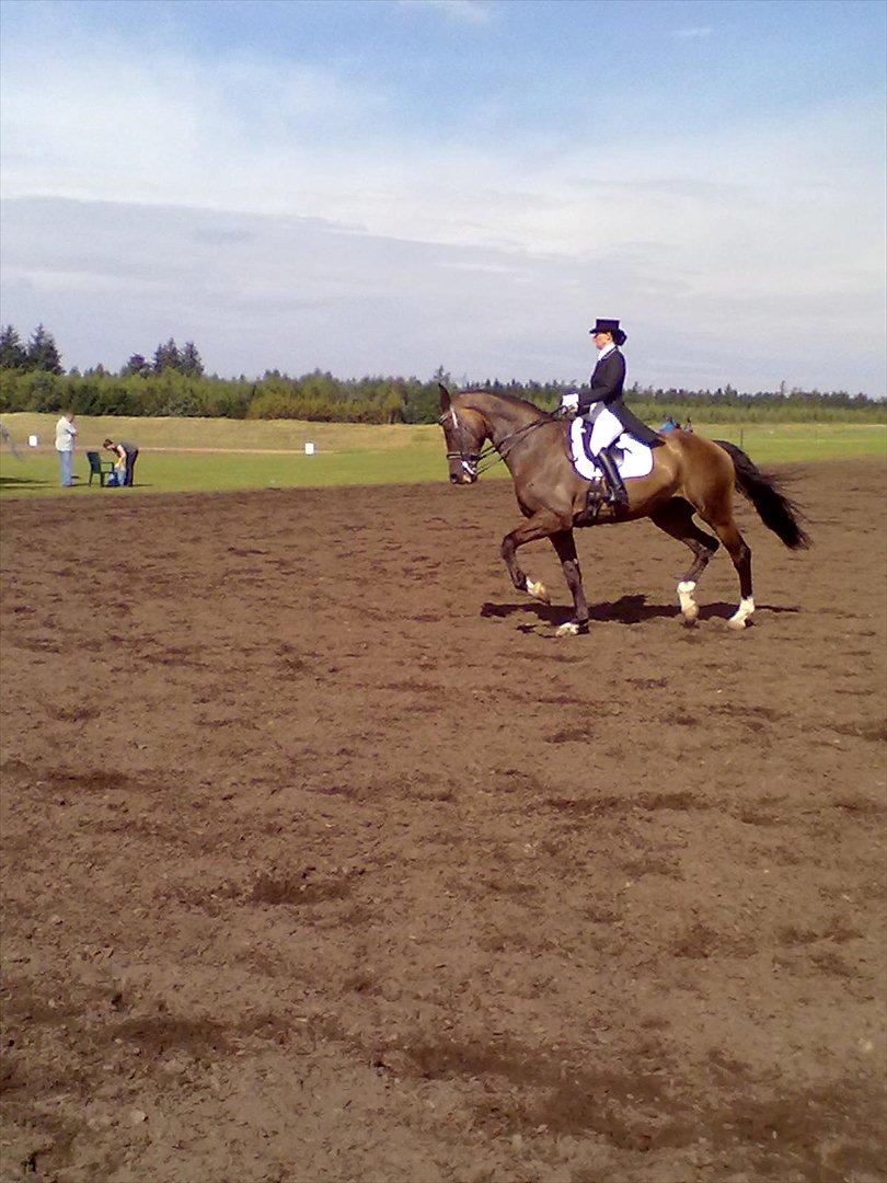 Distriktstævne på Billund sportsrideklub. billede 169