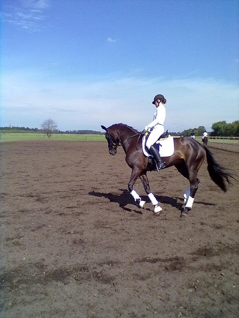 Distriktstævne på Billund sportsrideklub. billede 170