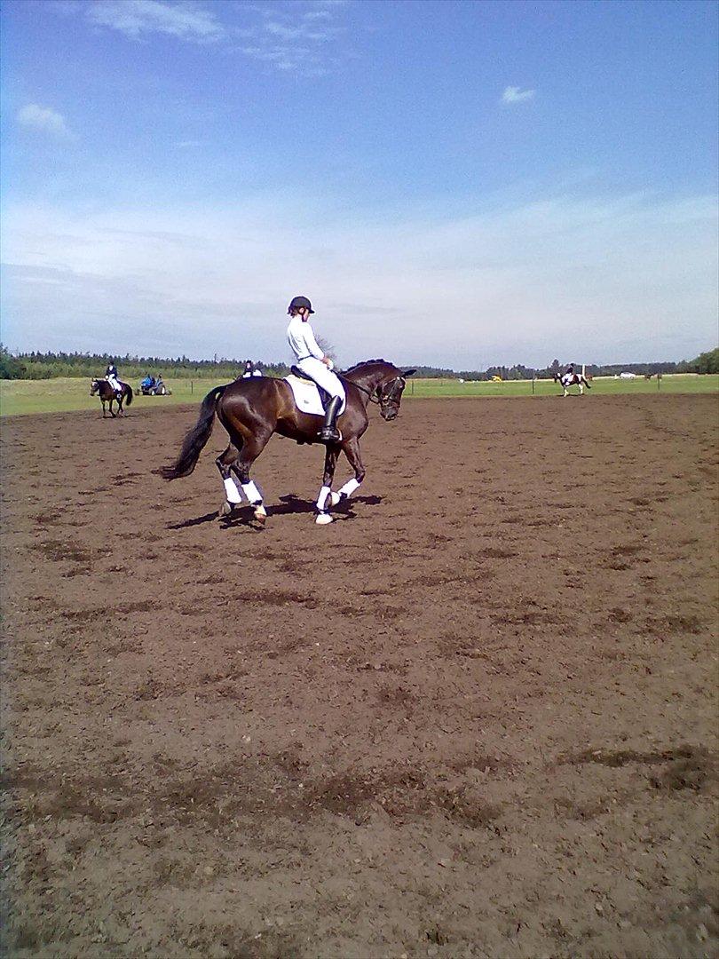 Distriktstævne på Billund sportsrideklub. billede 171