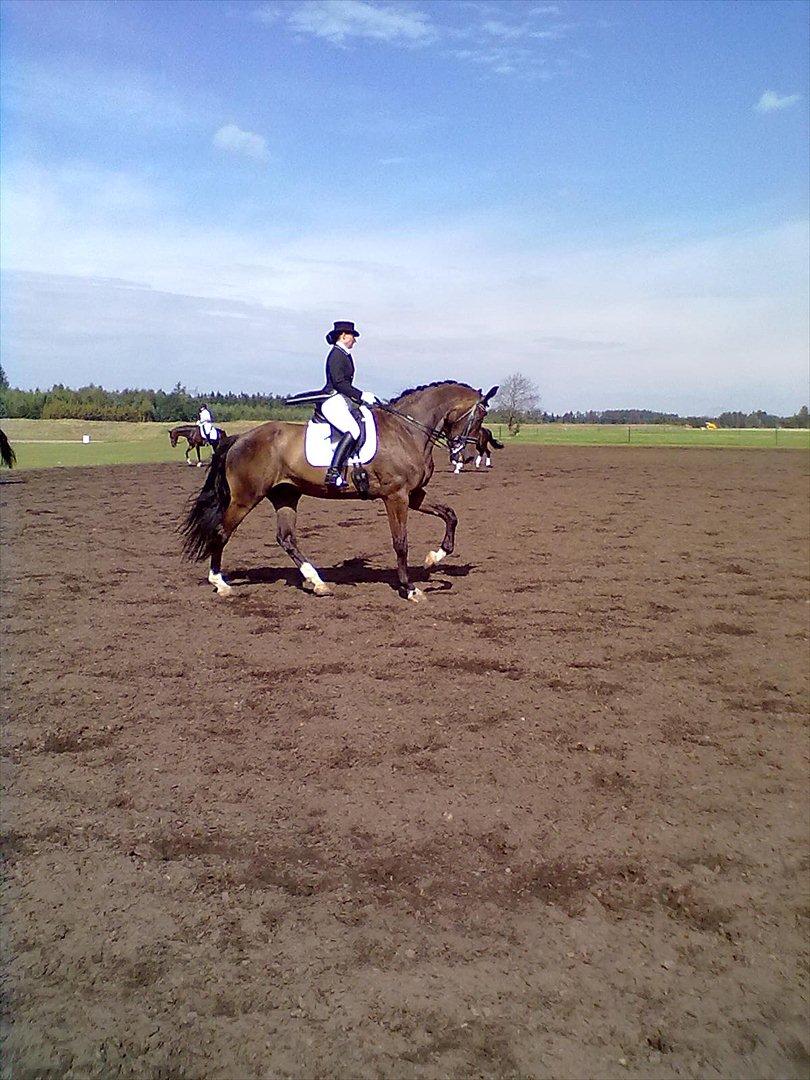 Distriktstævne på Billund sportsrideklub. billede 172