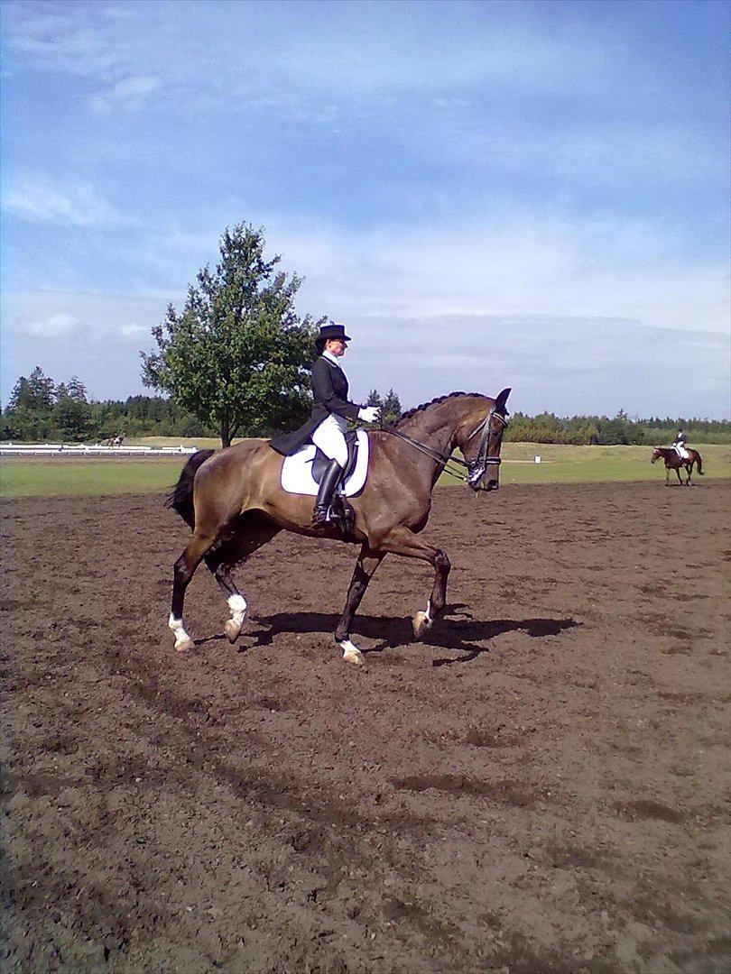 Distriktstævne på Billund sportsrideklub. billede 176