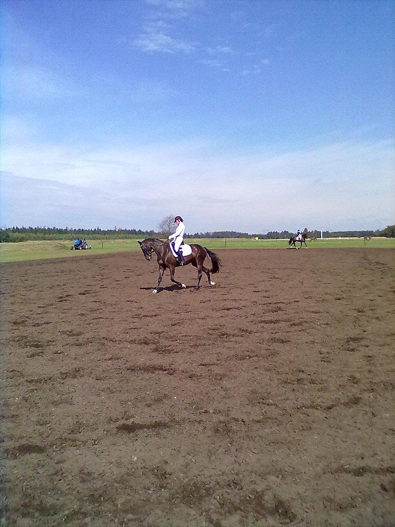 Distriktstævne på Billund sportsrideklub. billede 177