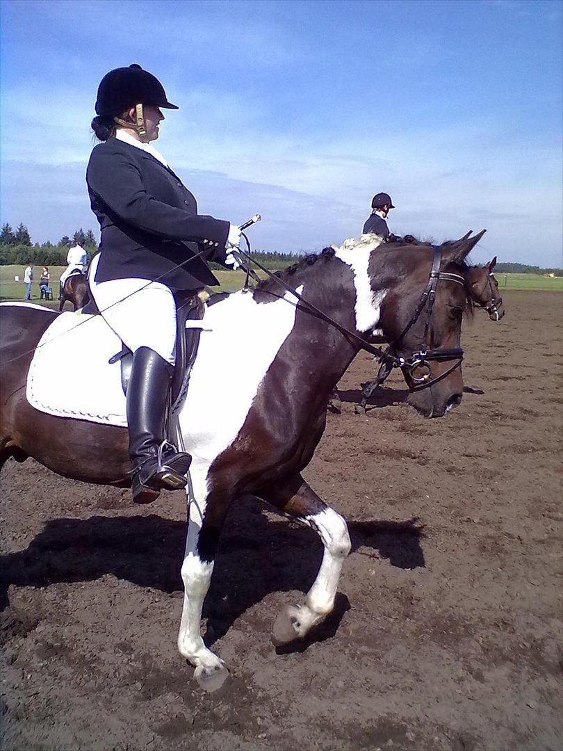 Distriktstævne på Billund sportsrideklub. billede 178