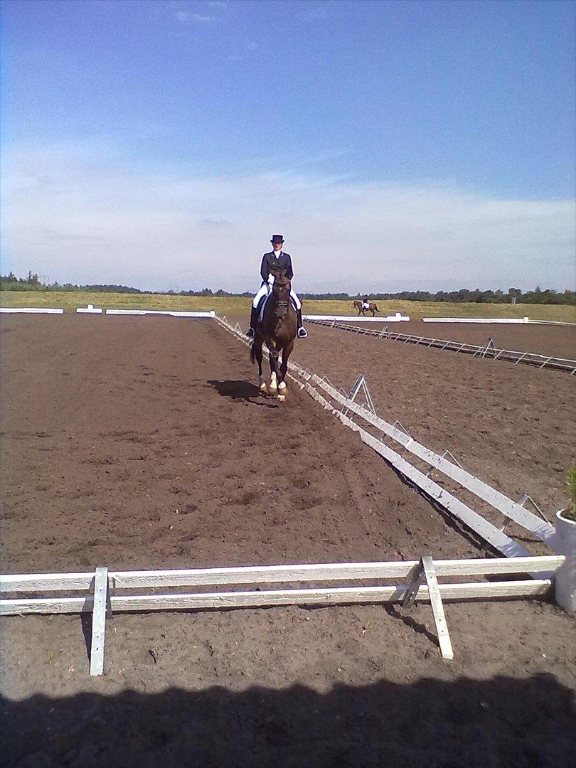 Distriktstævne på Billund sportsrideklub. billede 181