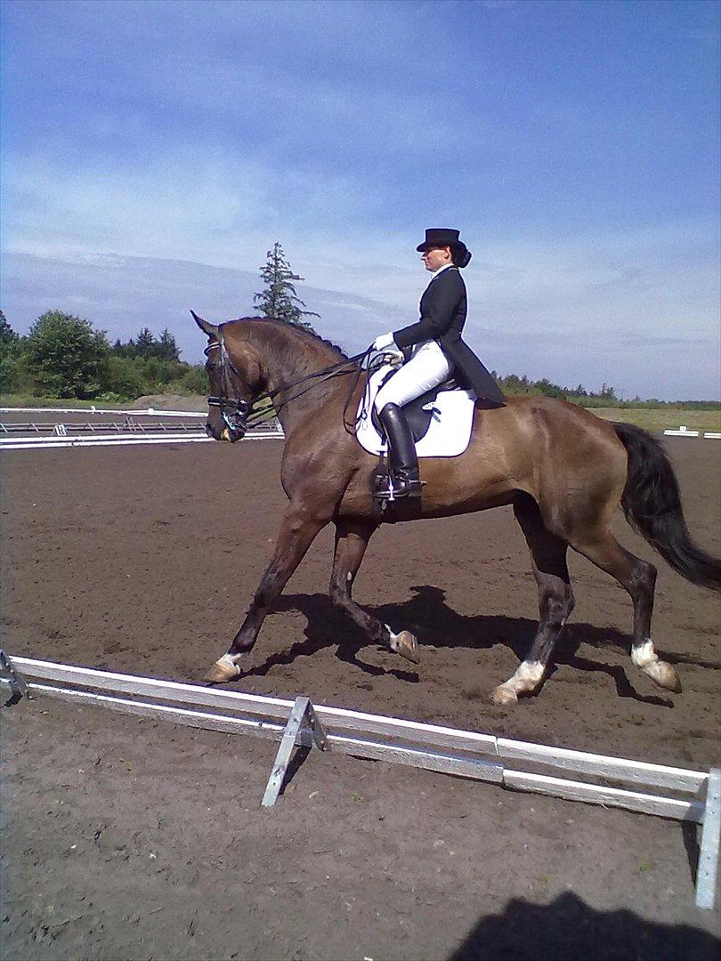 Distriktstævne på Billund sportsrideklub. billede 182