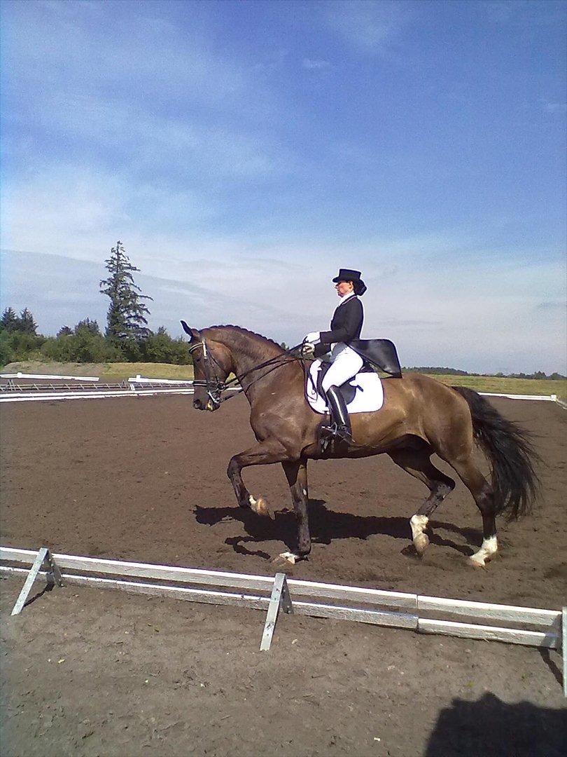 Distriktstævne på Billund sportsrideklub. billede 183