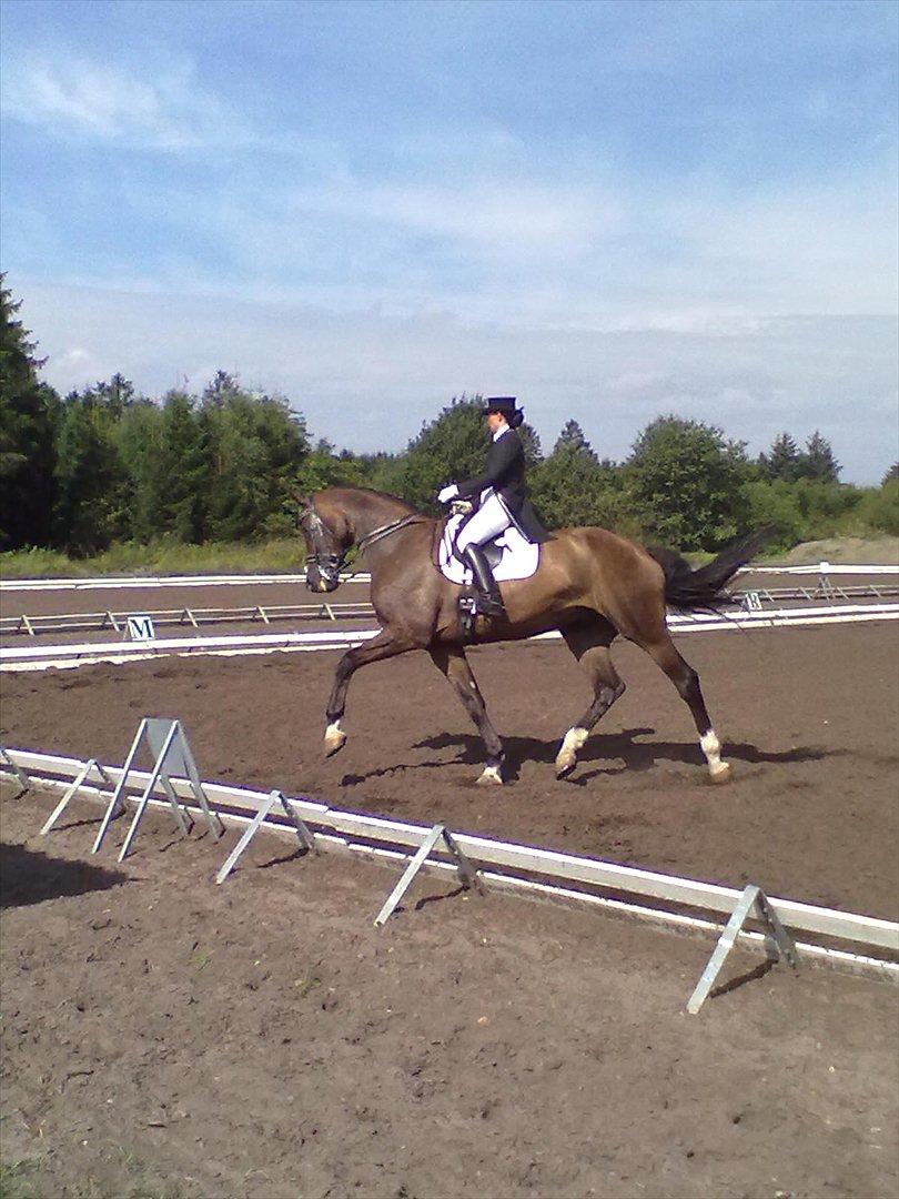 Distriktstævne på Billund sportsrideklub. billede 186