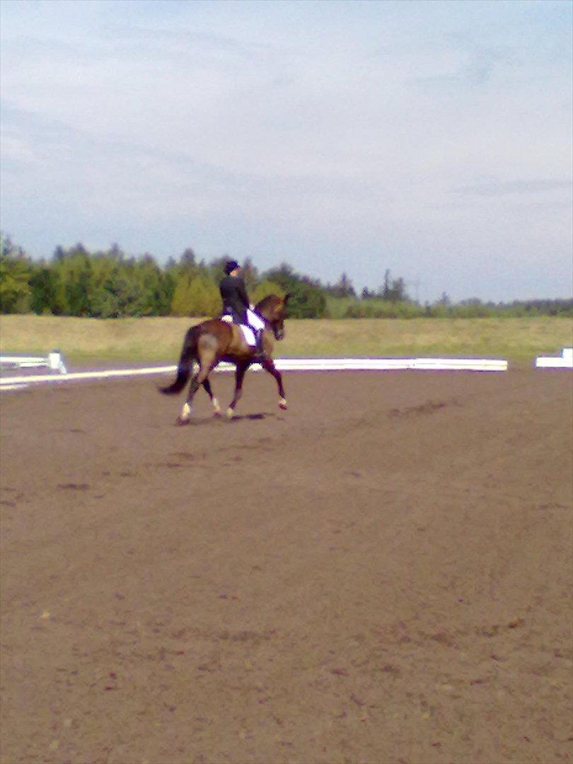Distriktstævne på Billund sportsrideklub. billede 187
