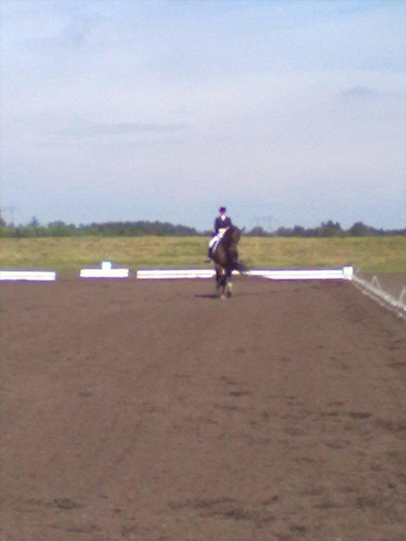 Distriktstævne på Billund sportsrideklub. billede 188