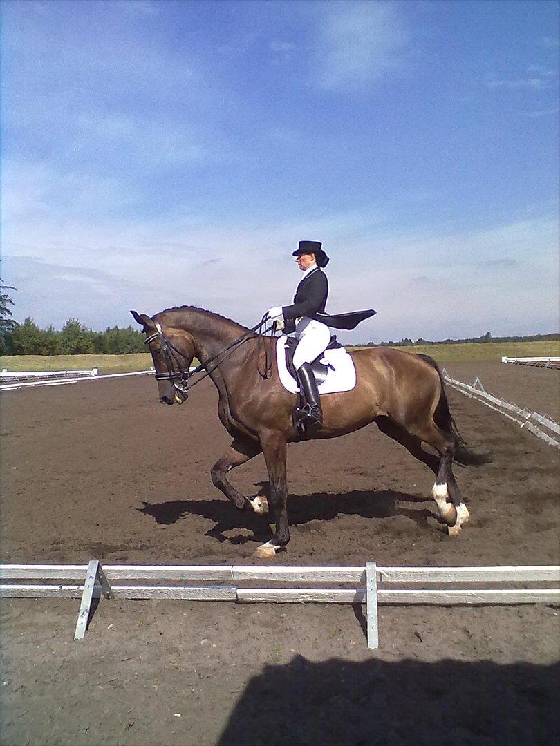 Distriktstævne på Billund sportsrideklub. billede 189