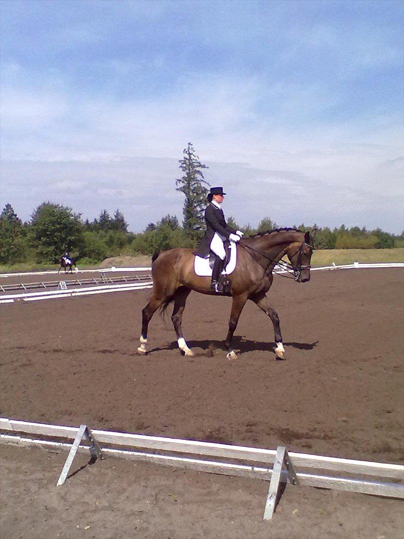 Distriktstævne på Billund sportsrideklub. billede 190