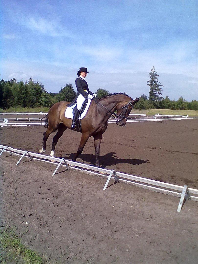 Distriktstævne på Billund sportsrideklub. billede 192