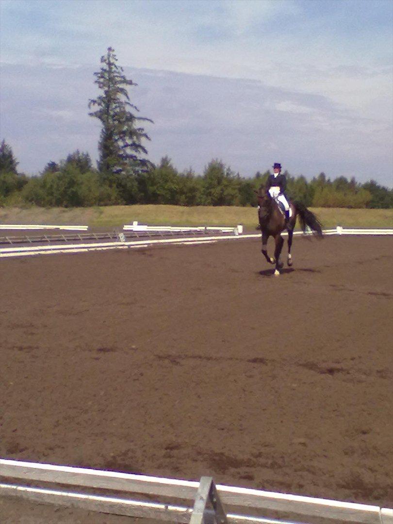 Distriktstævne på Billund sportsrideklub. billede 193