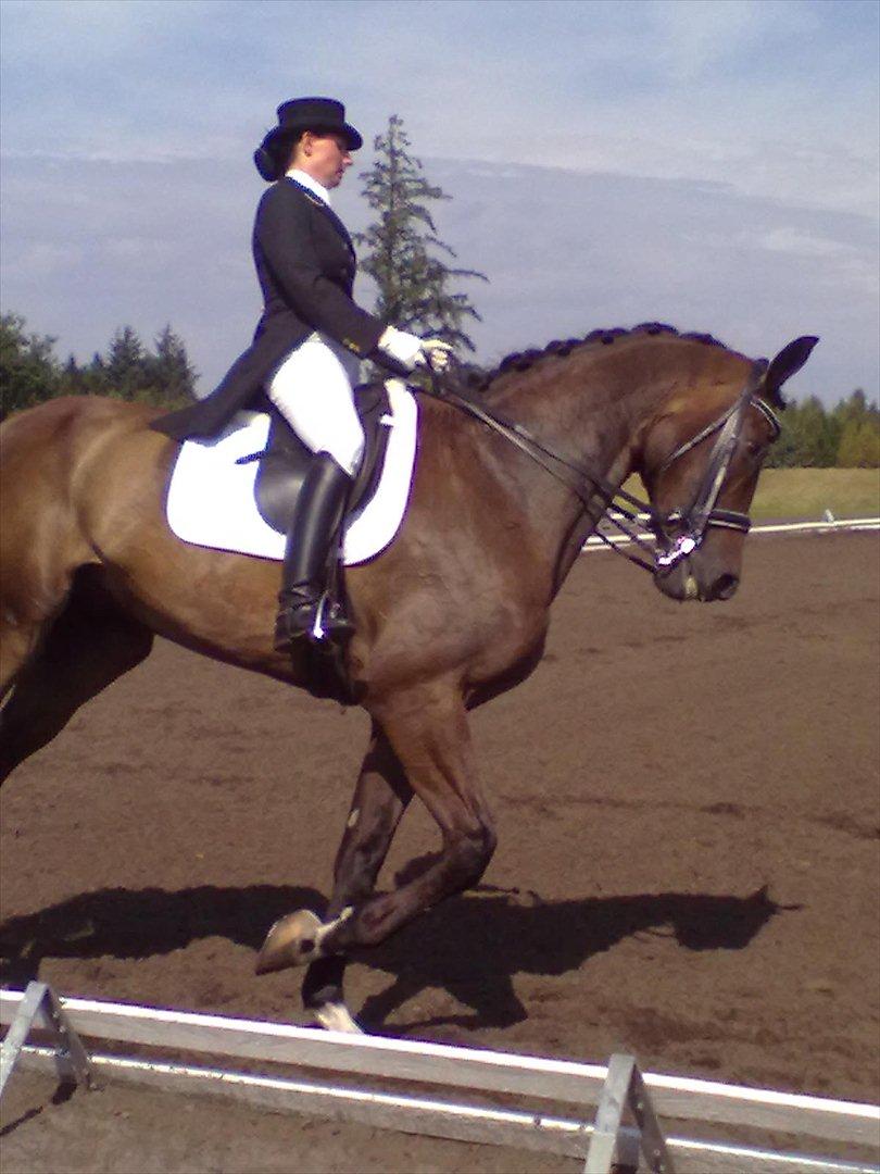 Distriktstævne på Billund sportsrideklub. billede 194