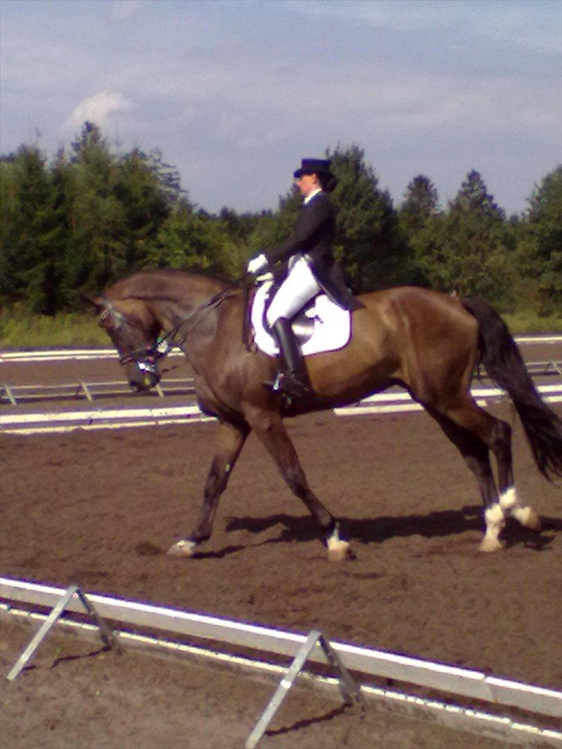 Distriktstævne på Billund sportsrideklub. billede 195