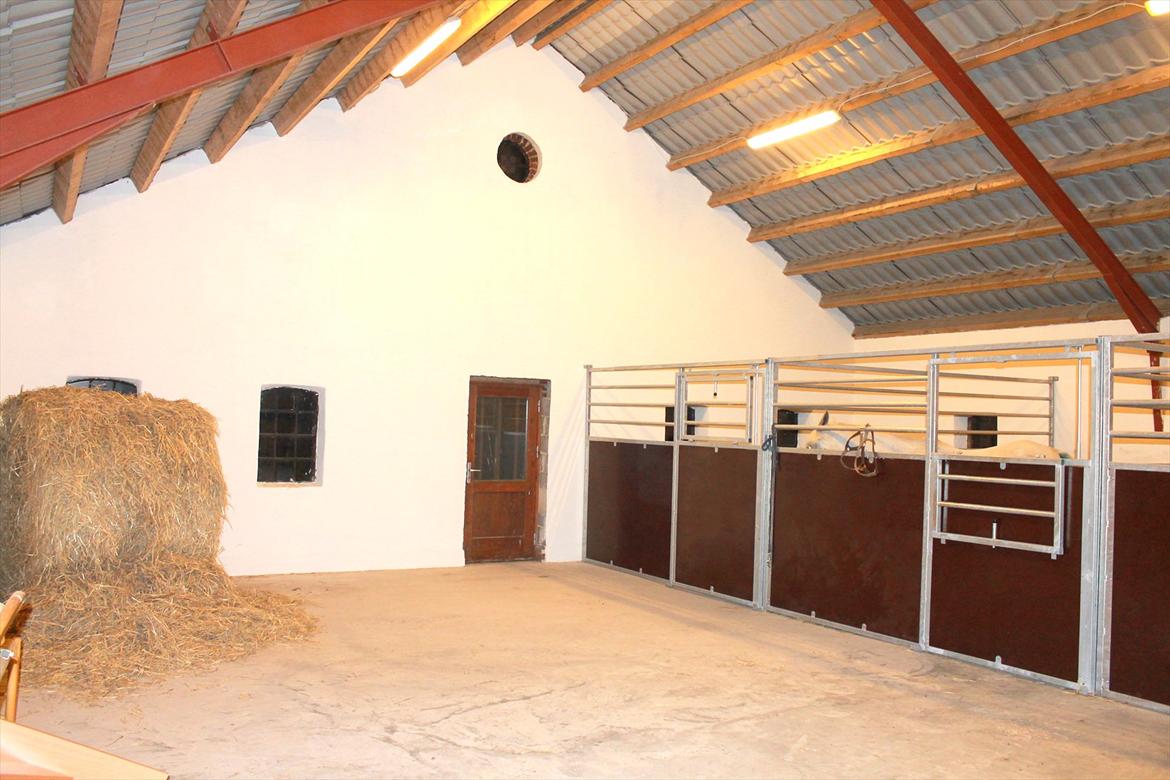 Min nye hestestald billede 1