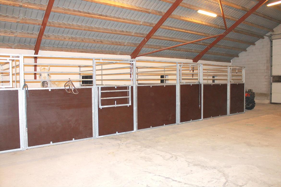 Min nye hestestald billede 2