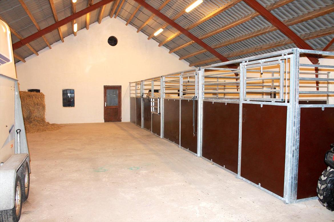 Min nye hestestald billede 4