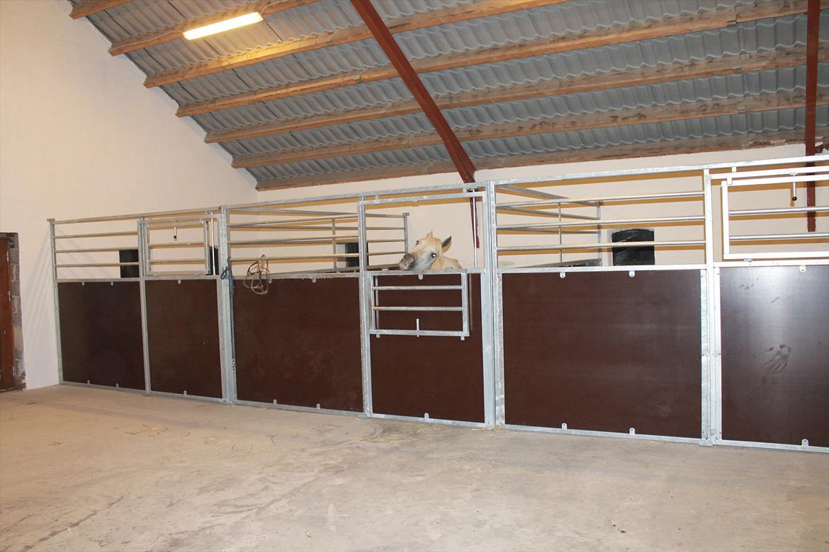 Min nye hestestald - Godnaat :)  billede 15