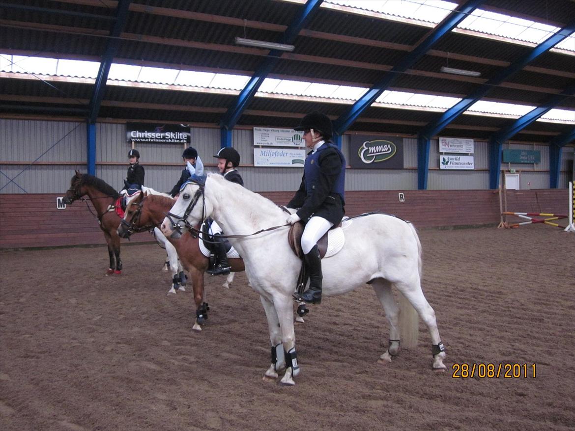Tougaard Rideklub den 28/8 2011 - Præmie overrekselse billede 3