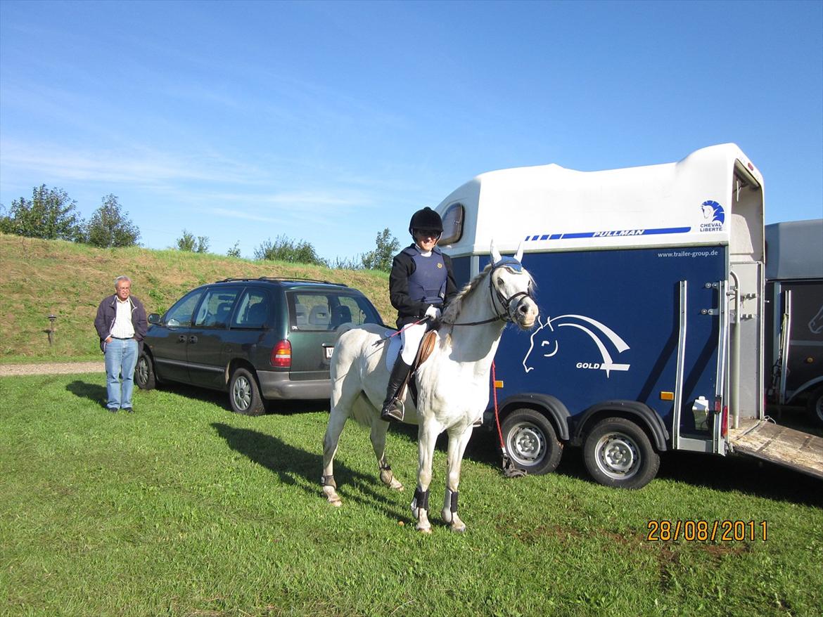Tougaard Rideklub den 28/8 2011 - Så skal vi hjem efter en god tur :D! billede 5