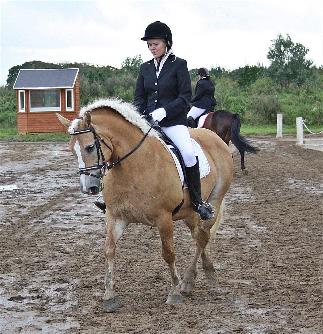 Guldager Rideklub - LD1 (Hest) Gry. billede 1