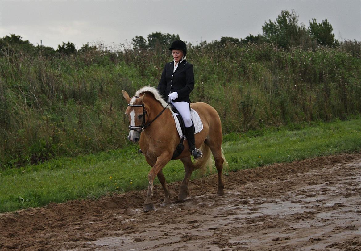 Guldager Rideklub - LD1 (Hest) Gry. billede 2