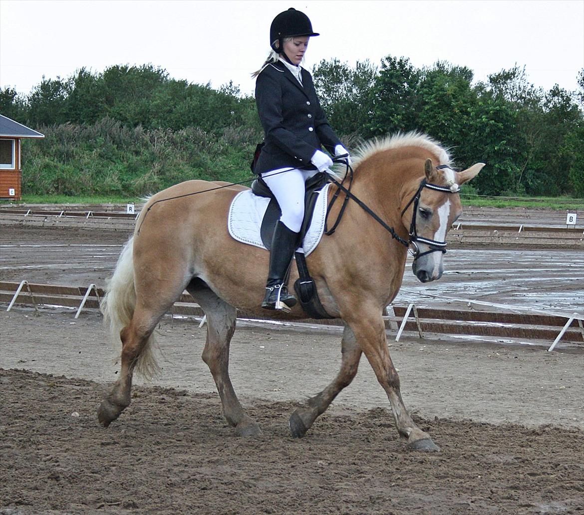 Guldager Rideklub - LD1 (Hest) Gry. billede 4