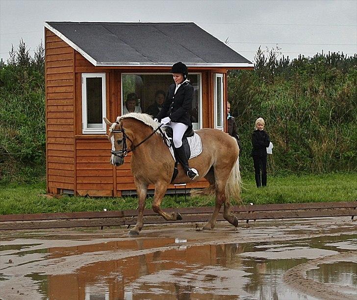 Guldager Rideklub - LD1 (Hest) Gry. billede 10