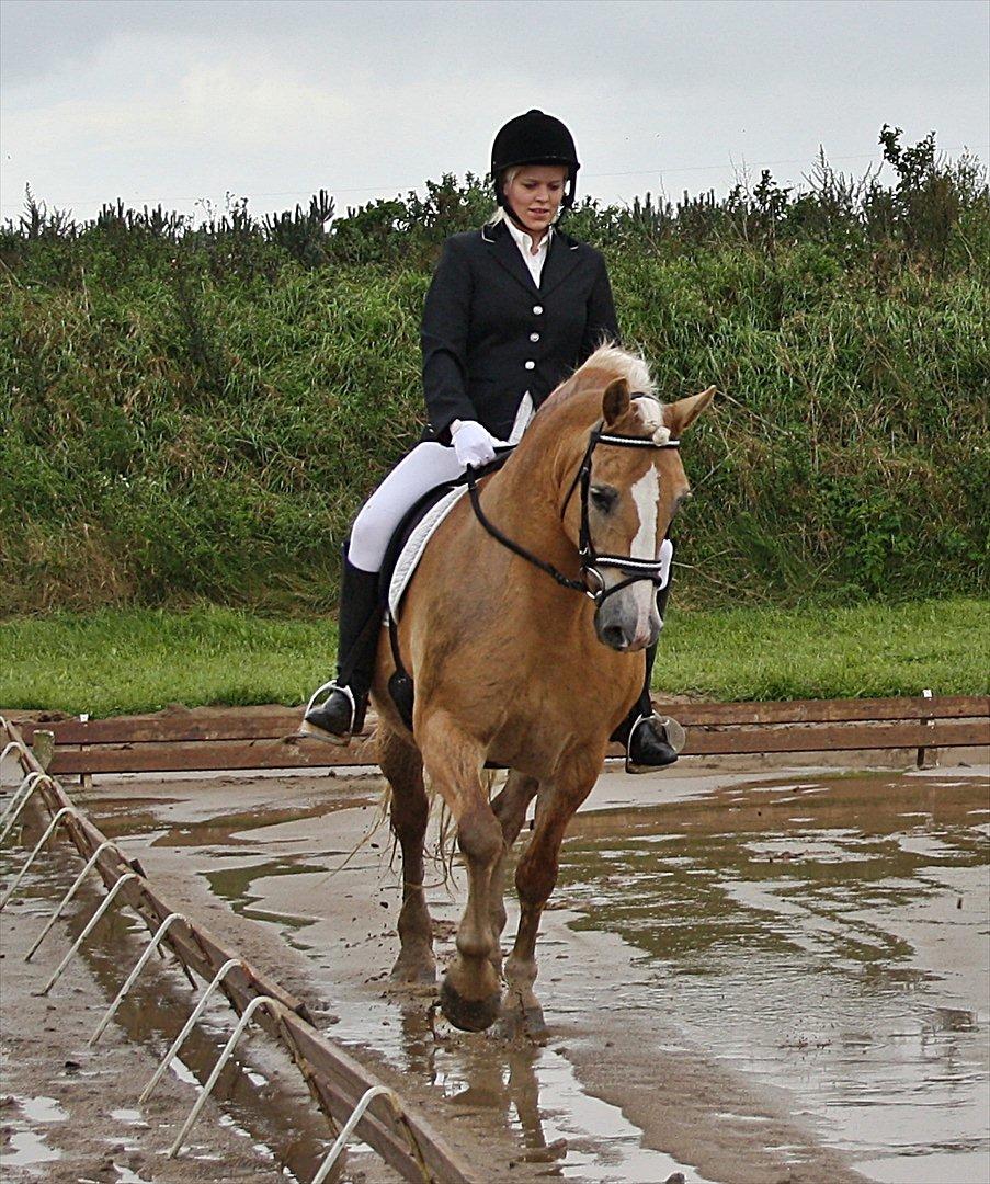 Guldager Rideklub - LD1 (Hest) Gry. billede 11