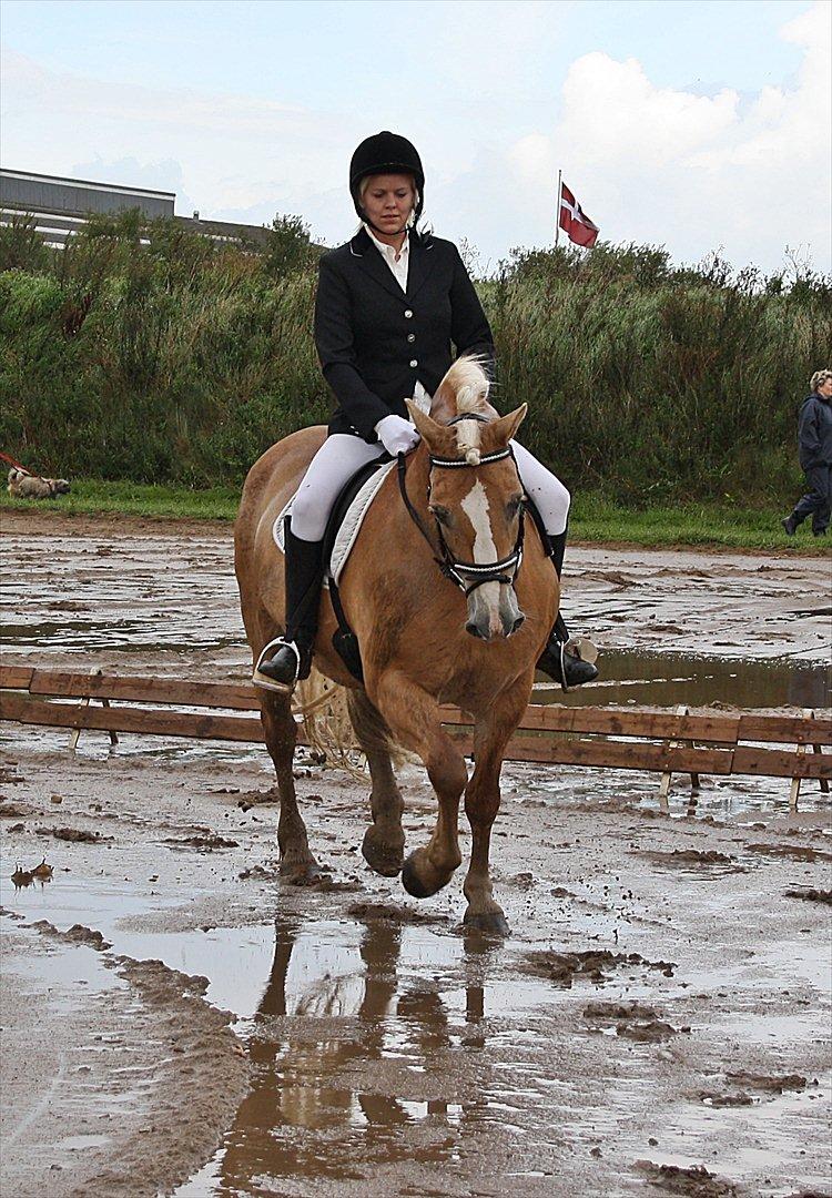 Guldager Rideklub - LD1 (Hest) Gry. billede 14