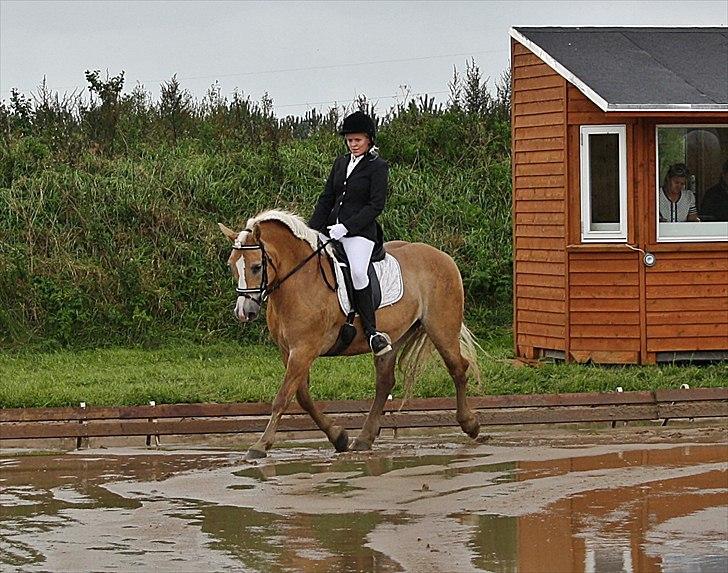 Guldager Rideklub - LD1 (Hest) Gry. billede 15