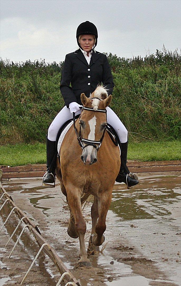 Guldager Rideklub - LD1 (Hest) Gry. billede 16