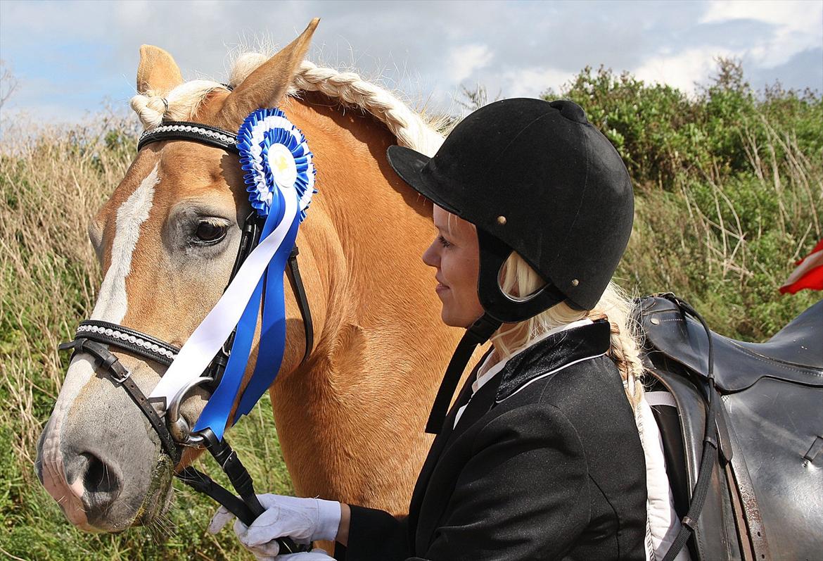 Guldager Rideklub - LD1 (Hest) Gry. billede 17